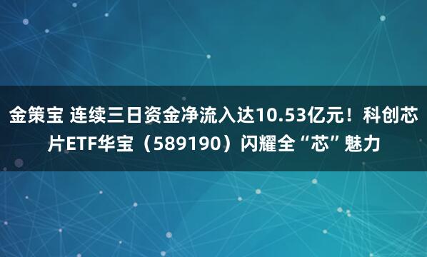 金策宝 连续三日资金净流入达10.53亿元！科创芯片ETF华宝（589190）闪耀全“芯”魅力