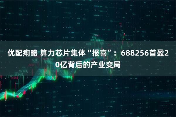 优配痢略 算力芯片集体“报喜”：688256首盈20亿背后的产业变局