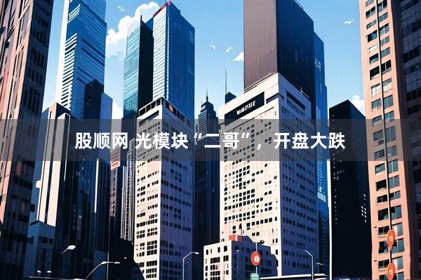 股顺网 光模块“二哥”，开盘大跌