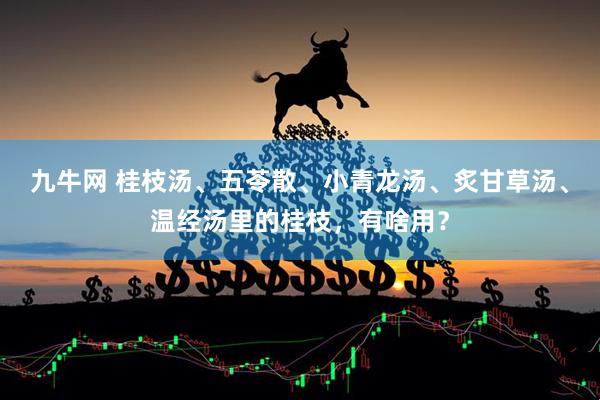 九牛网 桂枝汤、五苓散、小青龙汤、炙甘草汤、温经汤里的桂枝，有啥用？