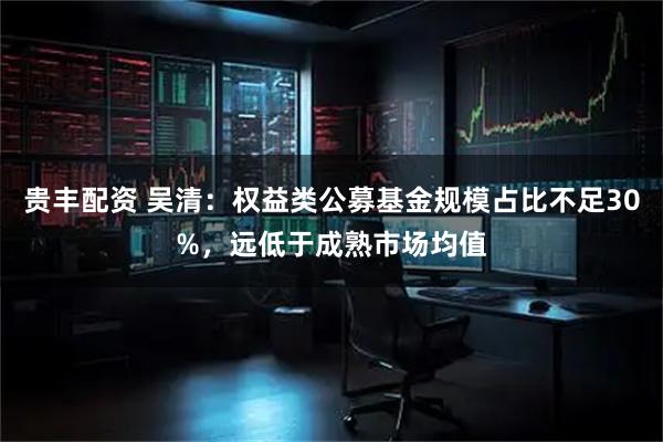 贵丰配资 吴清：权益类公募基金规模占比不足30%，远低于成熟市场均值
