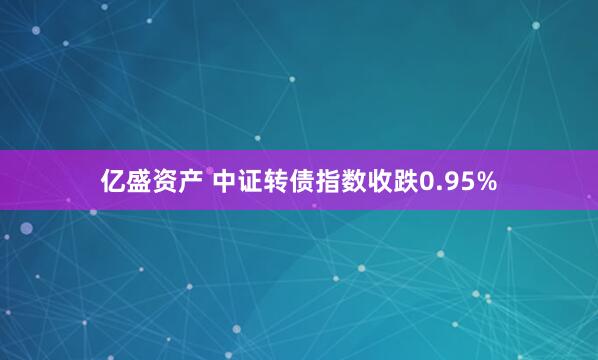 亿盛资产 中证转债指数收跌0.95%