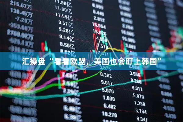 汇操盘 “看看欧盟，美国也会盯上韩国”