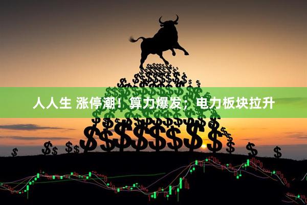 人人生 涨停潮！算力爆发；电力板块拉升