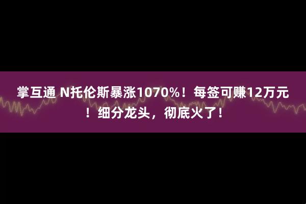 掌互通 N托伦斯暴涨1070%！每签可赚12万元！细分龙头，彻底火了！