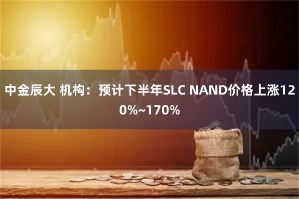 中金辰大 机构：预计下半年SLC NAND价格上涨120%~170%