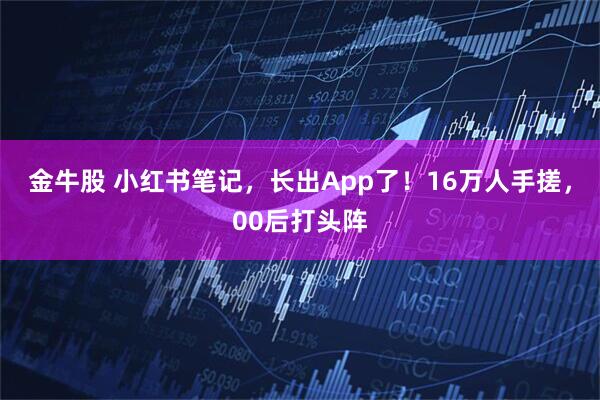 金牛股 小红书笔记，长出App了！16万人手搓，00后打头阵